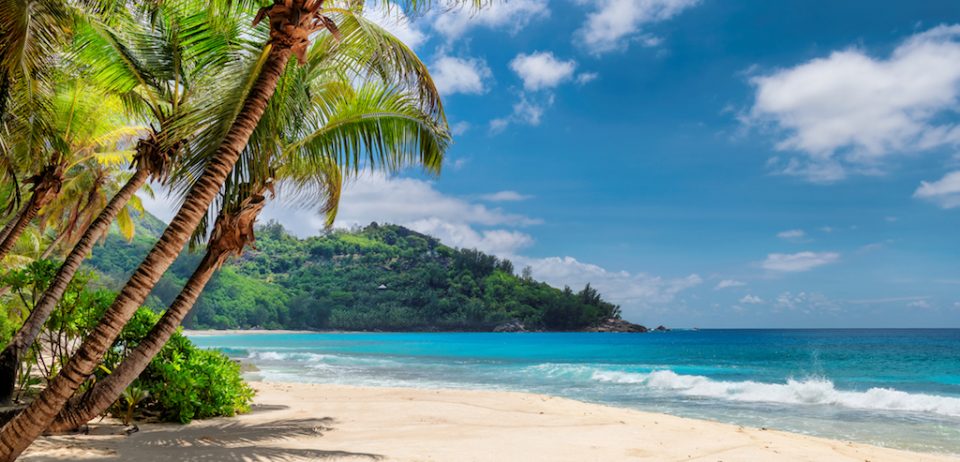 PartyPoker Caribbean Party переходит в онлайн