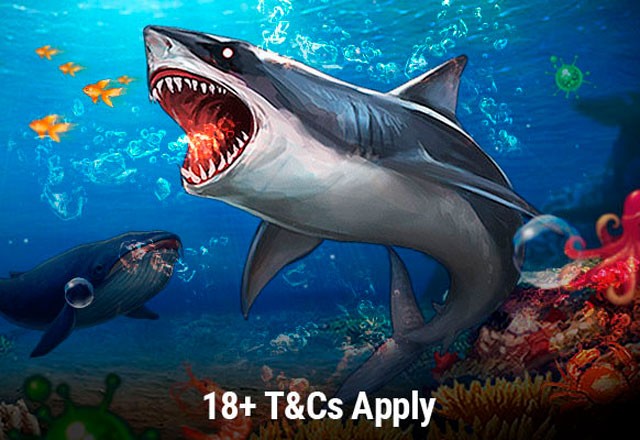 GGPokerOK обновил программу лояльности и запустил лидерборды по Flip&Go